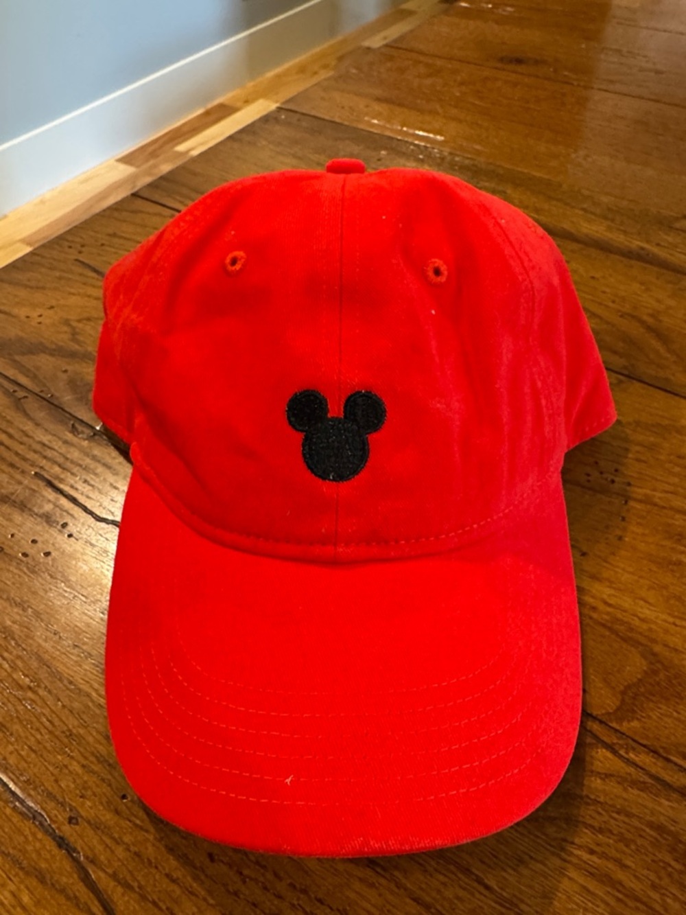 Disney Hat With Black Embroidered Mickey Silhouette